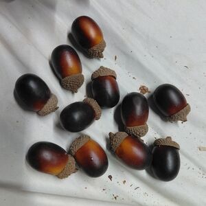 Handcrafted Decorative Acorn Accents - Brown and Tan X11